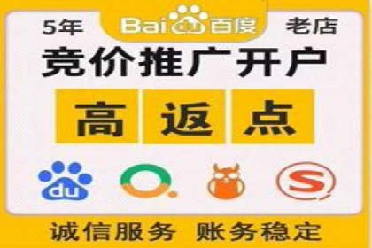 某企业通过SEO和SEM双管齐下实现业绩飞跃的案例